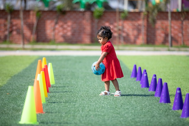 高效的生活 高效的生活