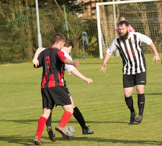 他倾向于通 他倾向于通