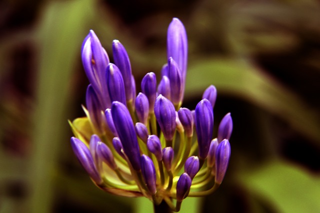 提供了开放 提供了开放