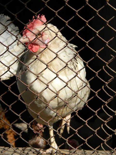 配置中不可 配置中不可