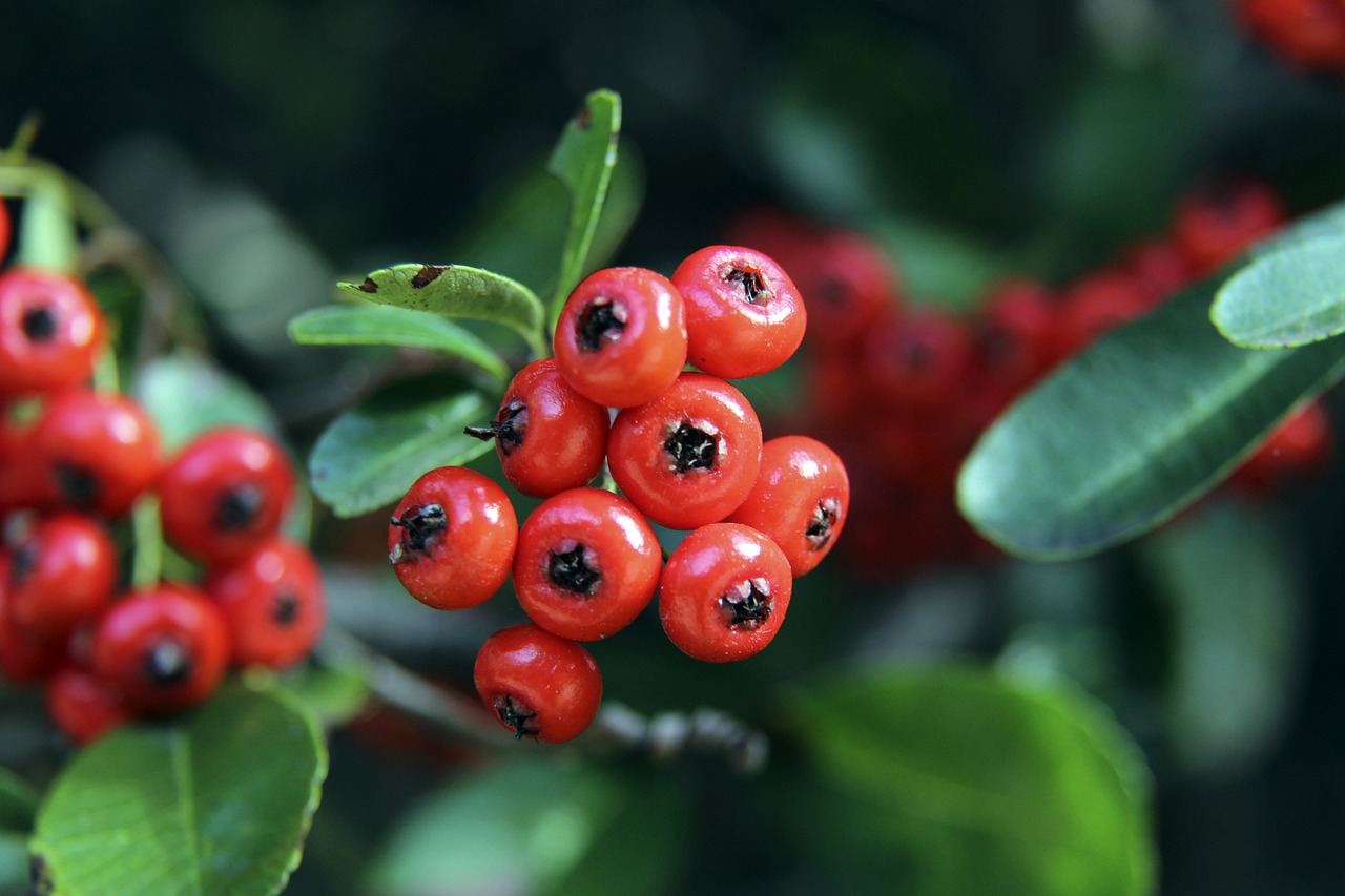 对未来的战 对未来的战