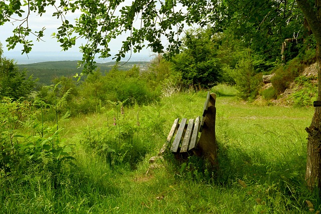 [NBA]常规赛3月22日：火箭VS热火 阿德巴约集锦.