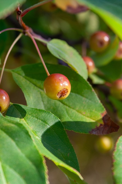 伦纳德复出砍下21+8,快船客场险胜魔术!祖巴茨18+20,哈登20分.
