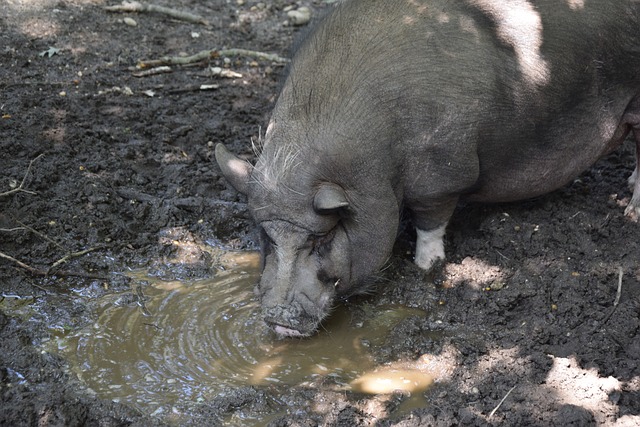 特納:我必須專註,不願成為場均只搶5到6個籃板的中鋒.
