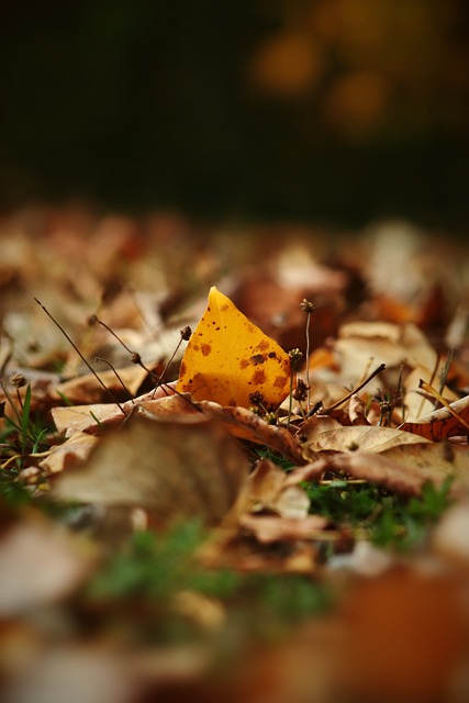 },{img_count＂：4,＂f_docid＂：＂wapkd：e6c4f84800106vyqa.