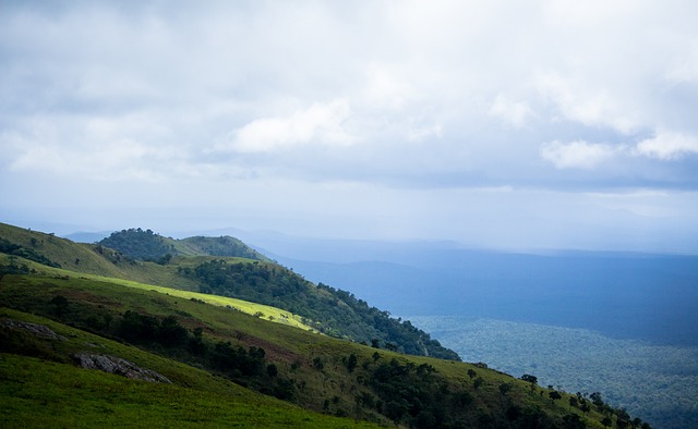 像布莱恩 像布莱恩