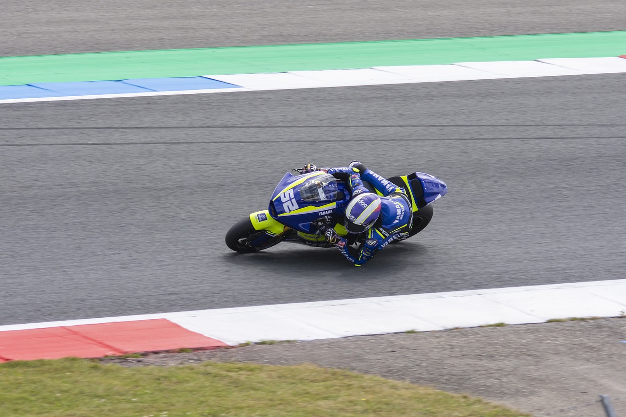 迅速建立了 迅速建立了