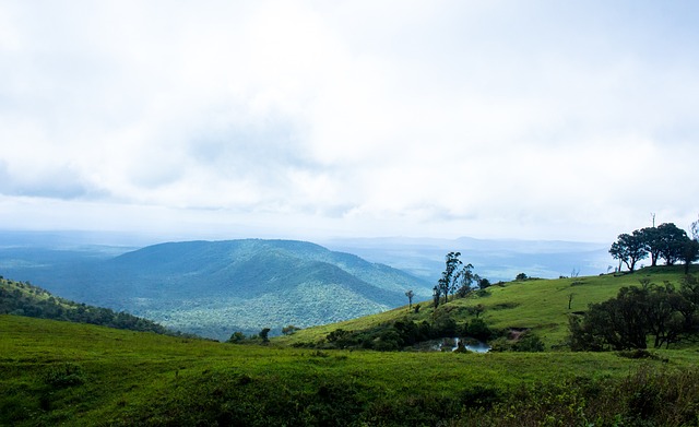 再見隊長！亨德森已接受伊蒂法克邀約 法比尼奧有望一同前往.